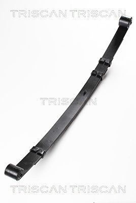 TRISCAN 8765 80006 Spring Pack
