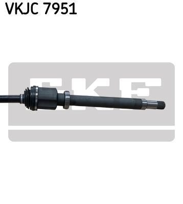VKJC 7951_3.JPG