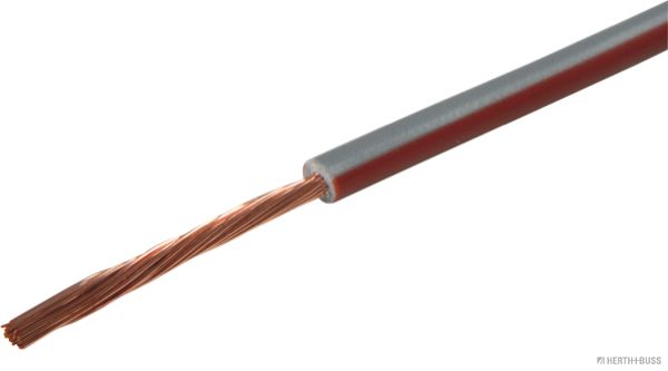 Elektroleitung