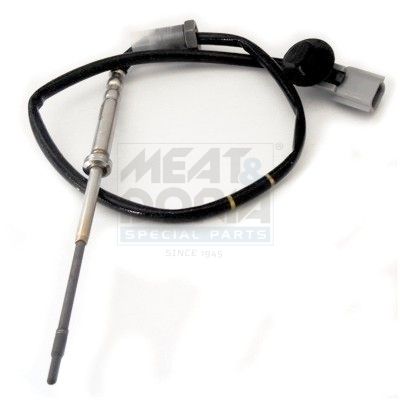 Sensor, Abgastemperatur Sensor, Abgastemperatur