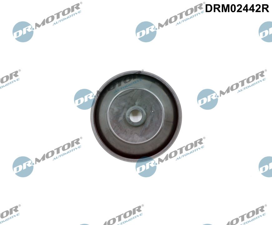 Dr.Motor Automotive DRM02442R Valve, air control (intake air)