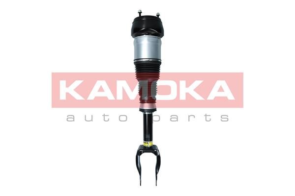 Air Suspension Strut 2070001