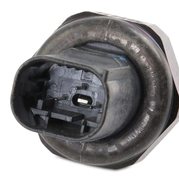 13632152_594.JPG