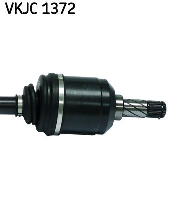 VKJC 1372_3.JPG