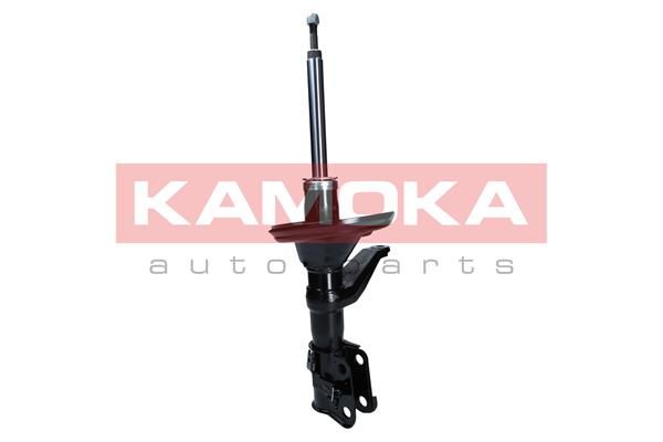 Shock Absorber 2000673