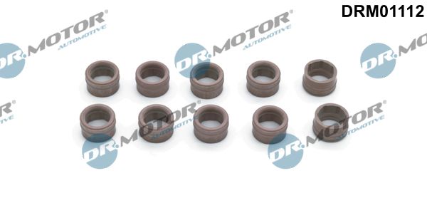 Dr.Motor Automotive DRM01112 - Reparatursatz, Klimaanlage