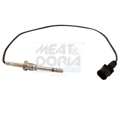 Sensor, Abgastemperatur