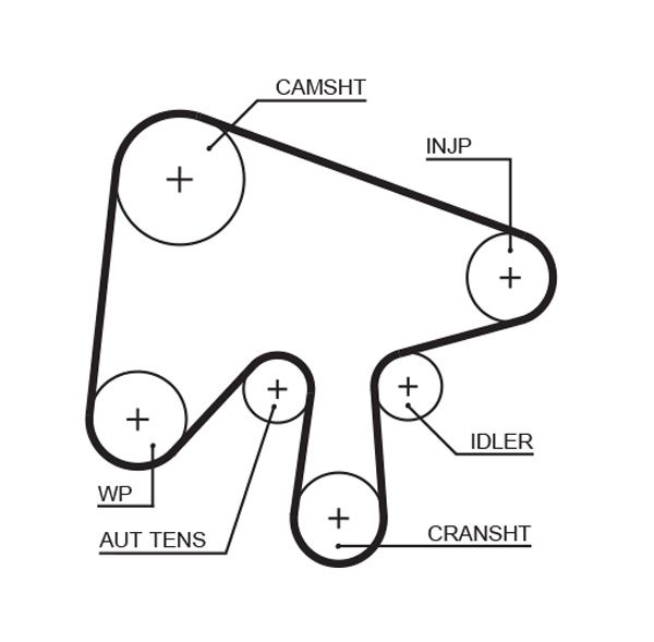 Timing Belt 5630XS