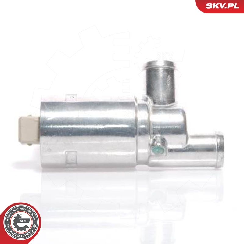 ESEN SKV 08SKV205 - Leerlaufregelventil, Luftversorgung