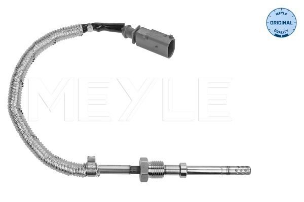 Sensor, Abgastemperatur