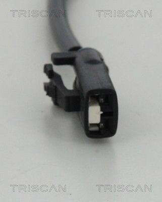 818043133_2.JPG