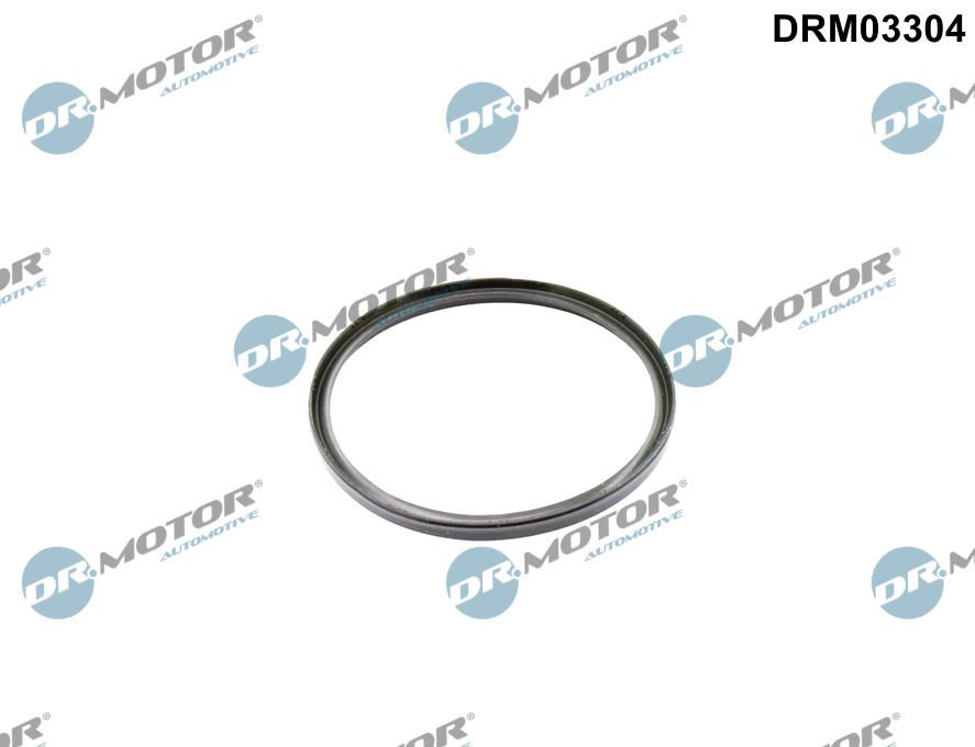 Dr.Motor Automotive DRM03304 Seal Ring, charge air hose