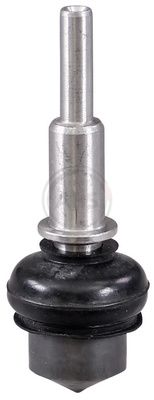 Trag-/Führungsgelenk