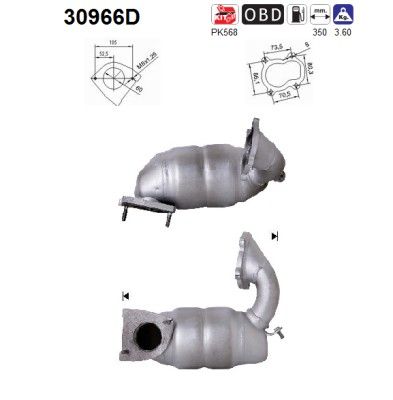 AS 30966D Katalysator