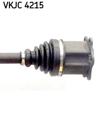 VKJC 4215_3.JPG