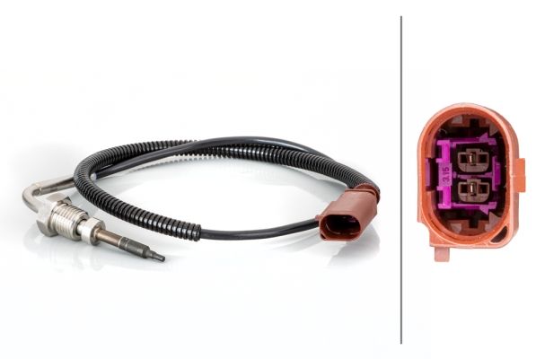 Sensor, Abgastemperatur Sensor, Abgastemperatur