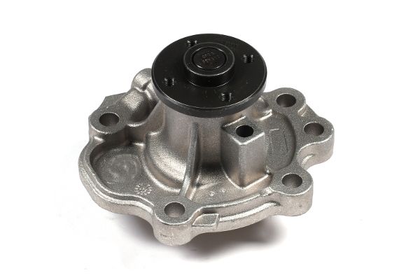 Water Pump, engine cooling P366