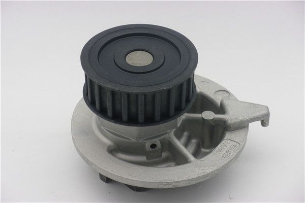 Bomba de agua, refrigeración del motor