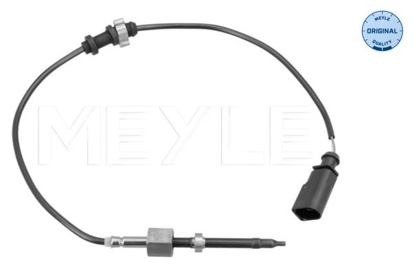 Sensor, Abgastemperatur