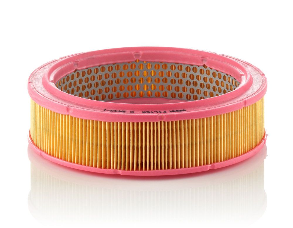 MANN-FILTER C 2443/1 - Luftfilter