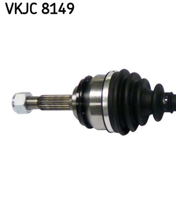 VKJC 8149_2.JPG
