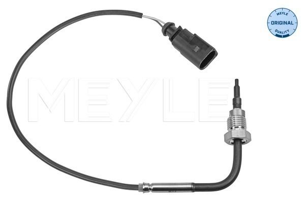 Sensor, Abgastemperatur