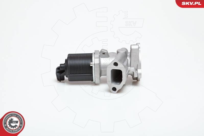 EGR Valve 14SKV031