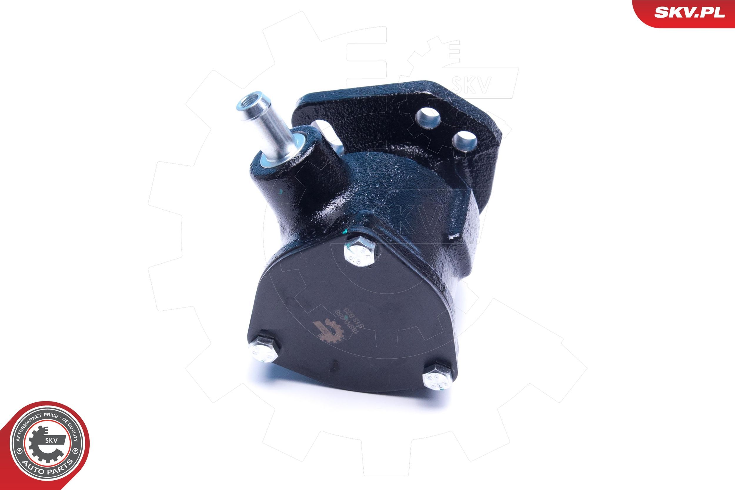 Unterdruckpumpe, Bremsanlage