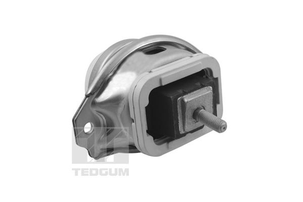 TEDGUM TED44341 - Lagerung, Motor