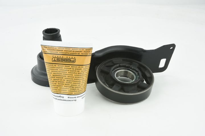 guolis, kardaninio veleno centrinis guolis