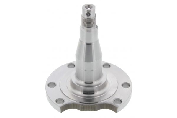 Achsschenkel, Radaufh&auml;ngung