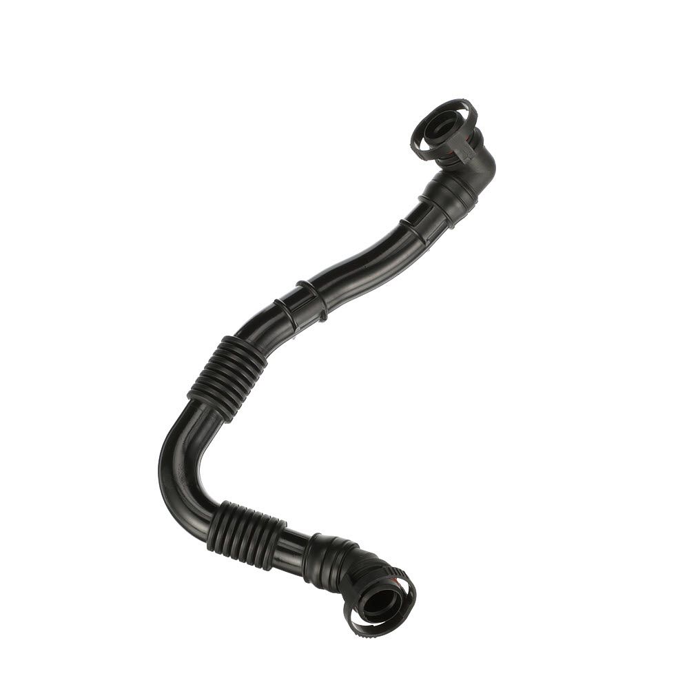 žarna, karterio alsuoklis