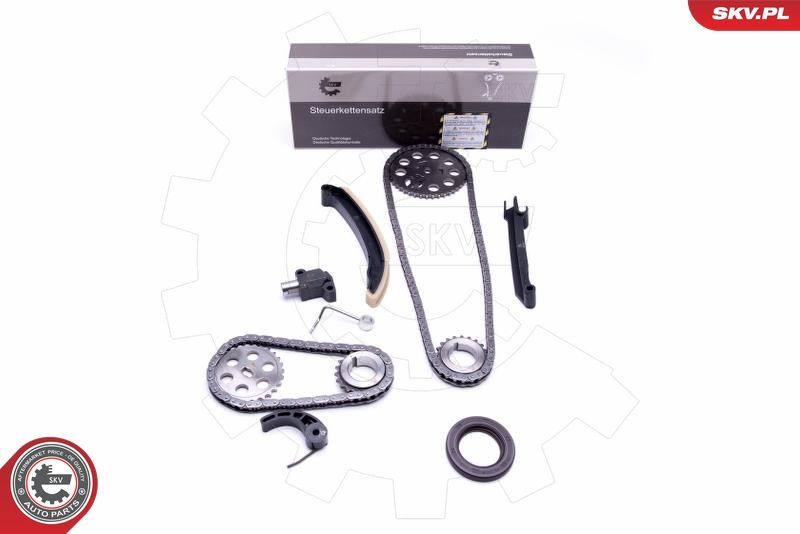 Timing Chain Kit 21SKV209