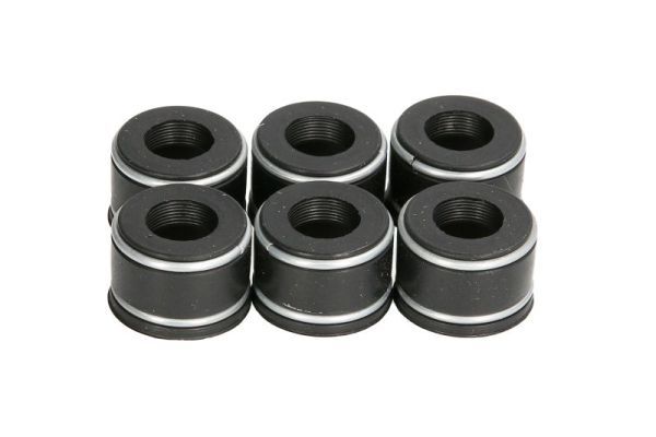 Dichtring, Ventilschaft