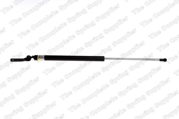 Gasfeder, Koffer-/Laderaum