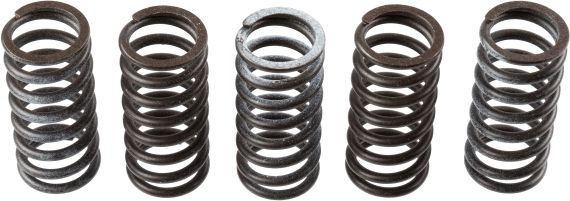 TRW MEF309-5 Clutch Spring Set
