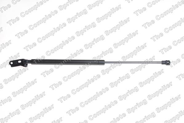 Gasfeder, Koffer-/Laderaum