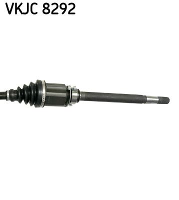 VKJC 8292_3.JPG