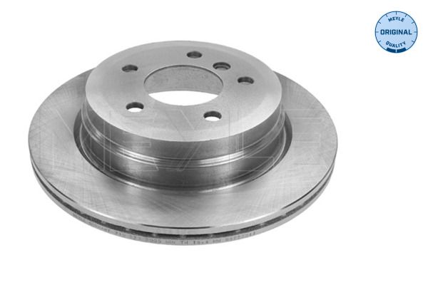 Brake Disc 315 523 0050