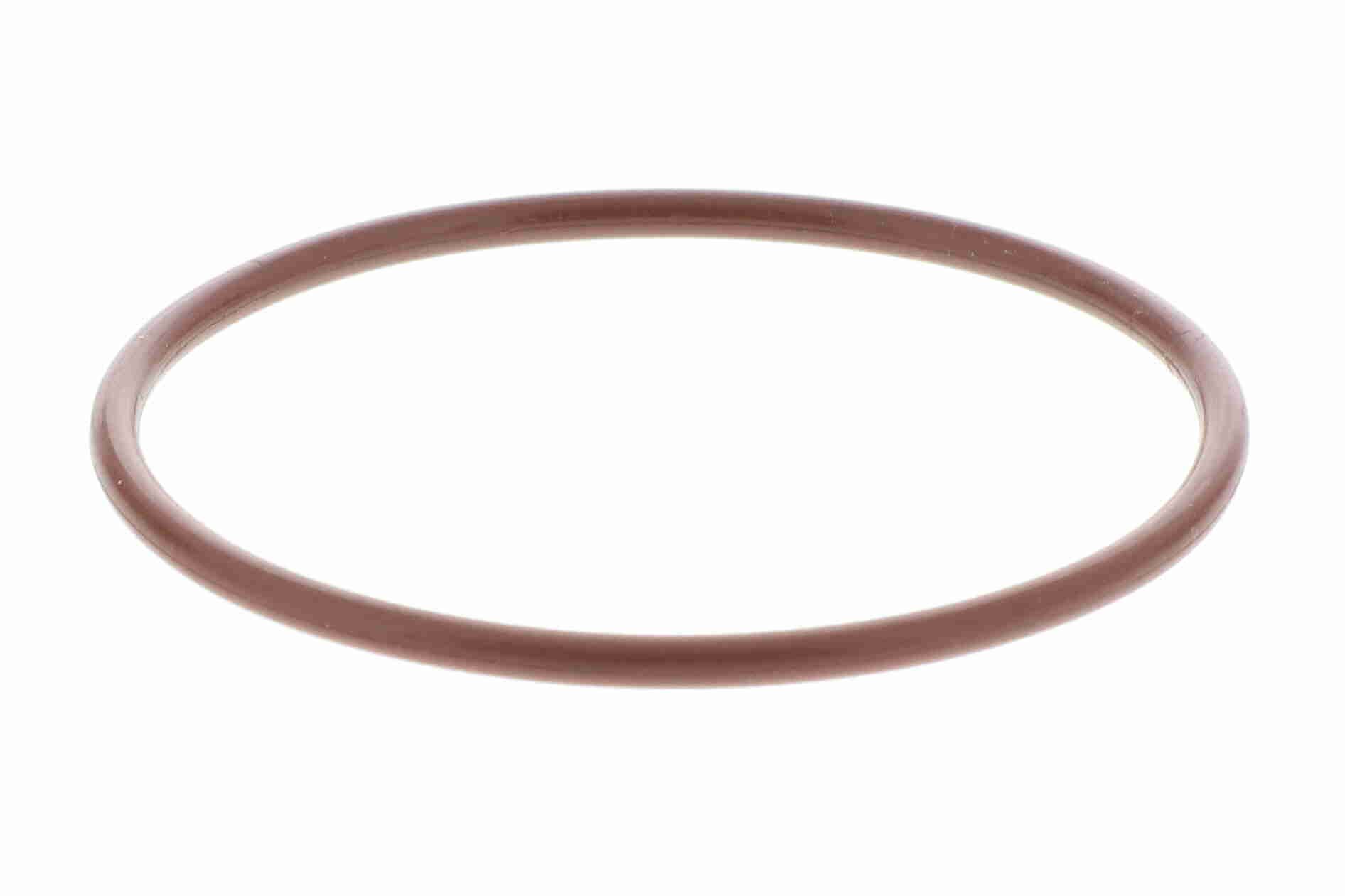 Ventil, Abgasrückführung