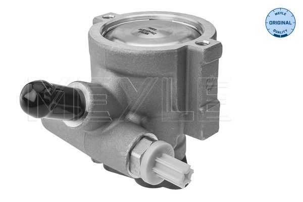 Hydraulikpumpe, Lenkung