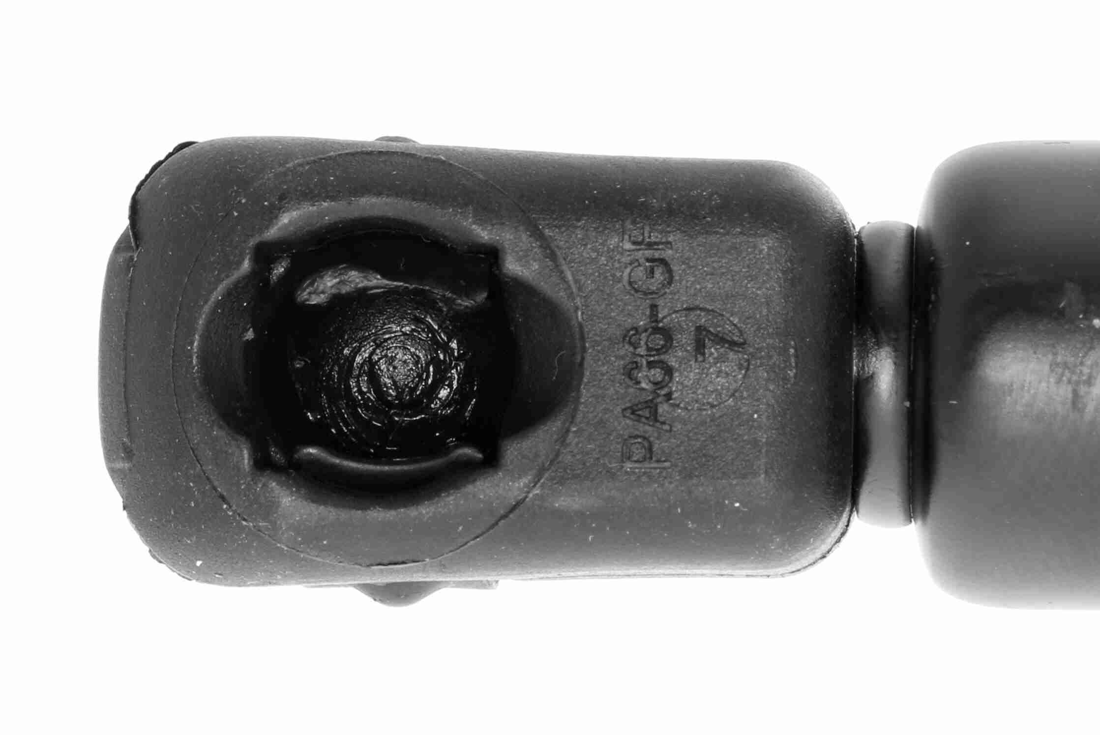 Gasfeder, Koffer-/Laderaum