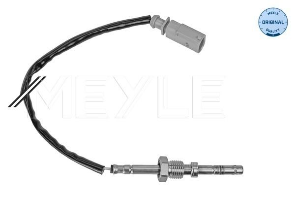 Sensor, Abgastemperatur