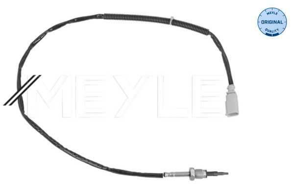 Sensor, Abgastemperatur