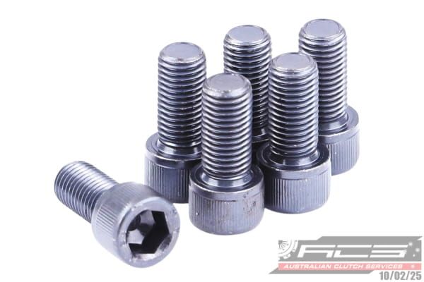 BOLT SET F/W HYUN 10x1.0x21.7 (8) 73Nm - TecDoc Only
