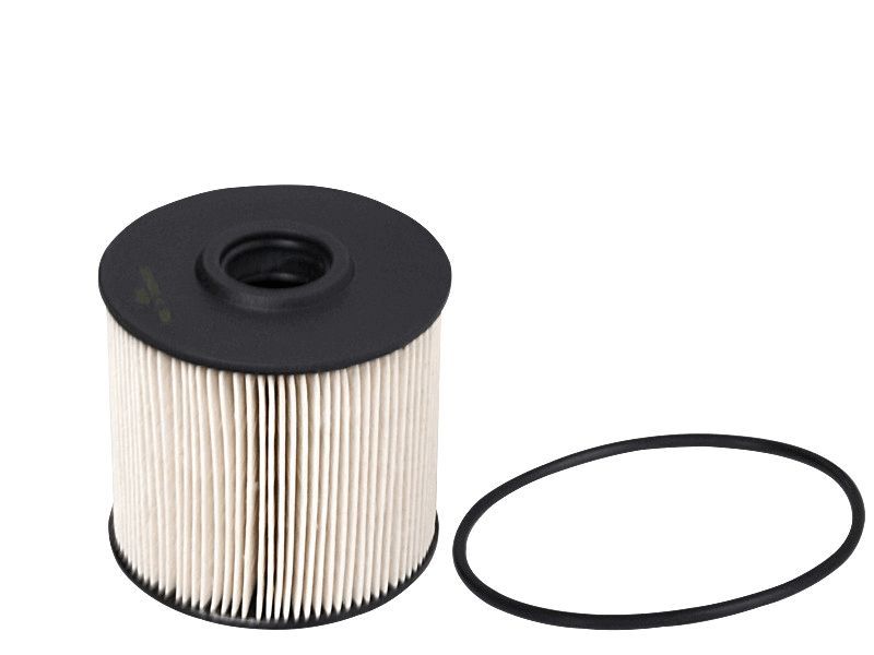 FUEL FILTER FITS P550632 - TecDoc Only