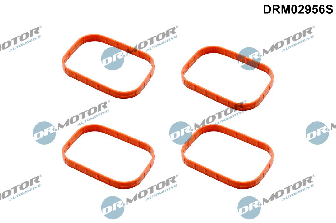 Dr.Motor Automotive DRM02956S Dichtungssatz, Ansaugkrümmer