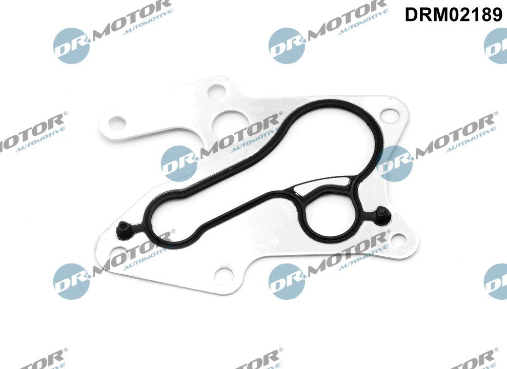 Dr.Motor Automotive DRM02189 - Dichtung, &Ouml;lk&uuml;hler