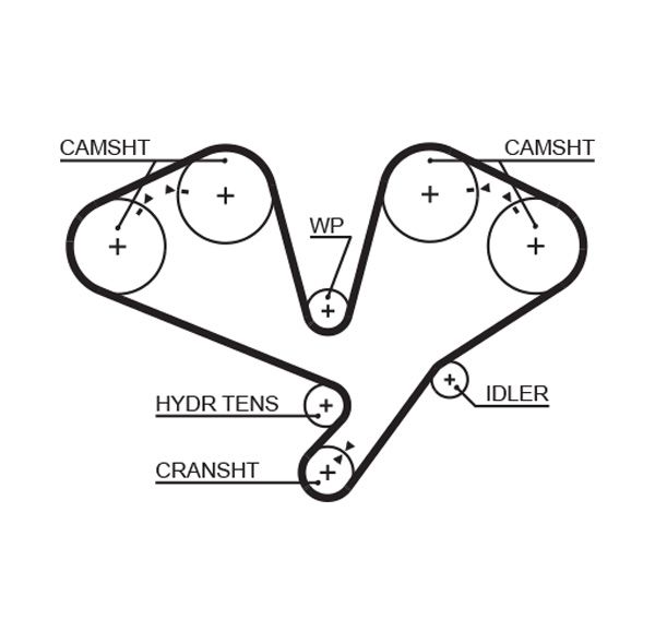 COURROIE DISTRIBUTION