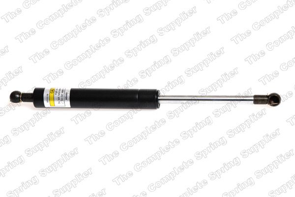 Gasfeder, Koffer-/Laderaum